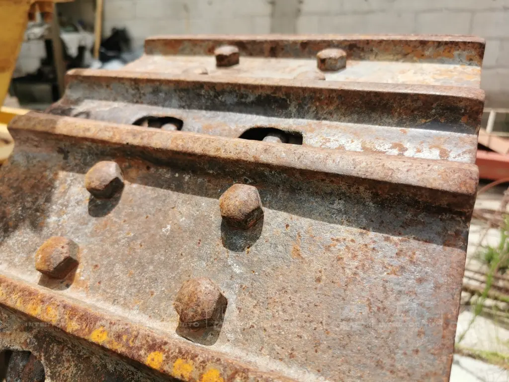 CAT_941B_5823 (8).webp