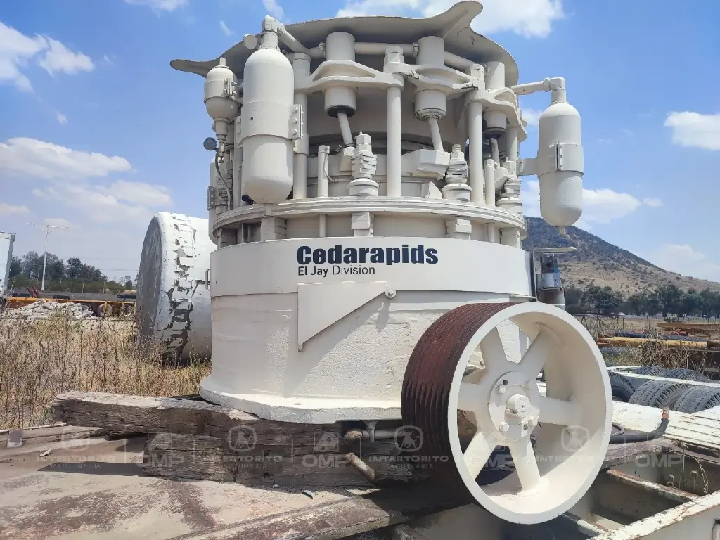 CEDARRAPIS (6)_13_11zon.webp