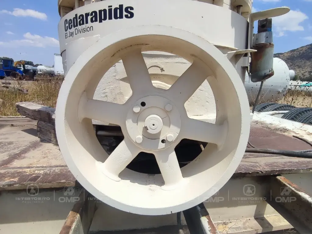 CEDARRAPIS (9)_15_11zon.webp