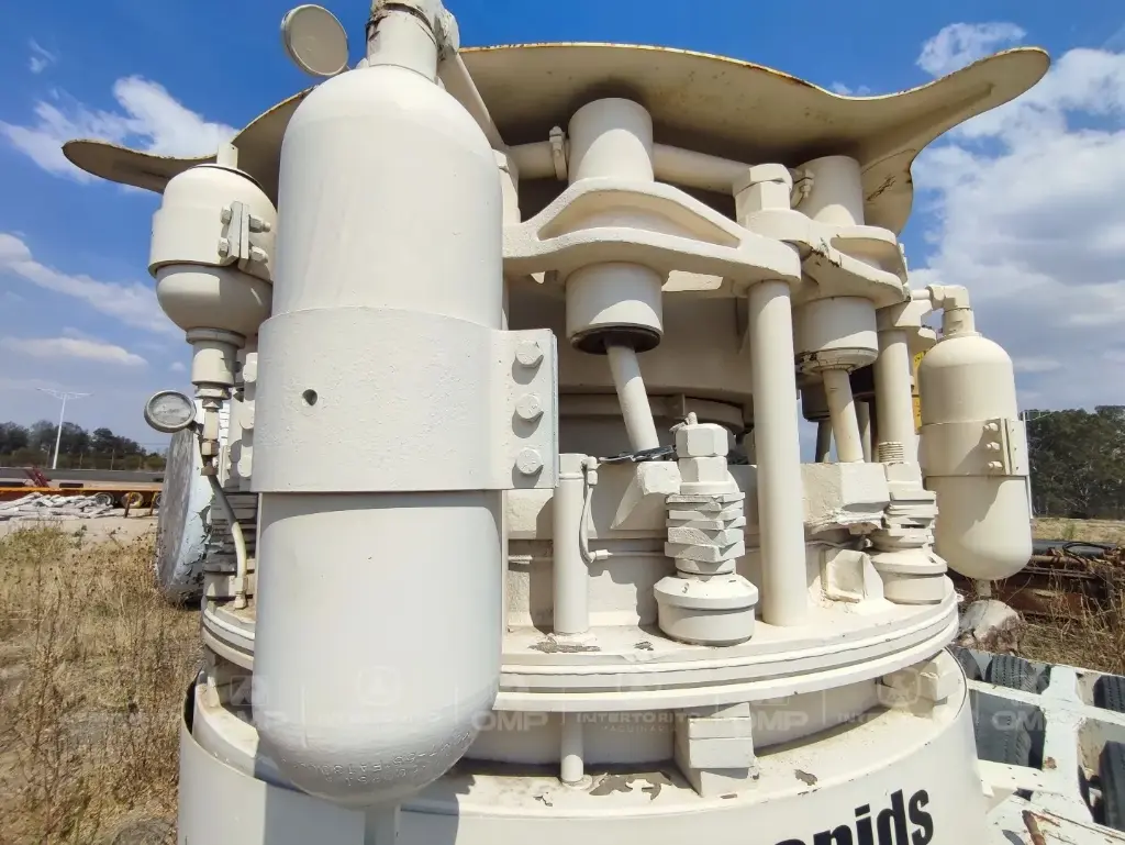 CEDARRAPIS (15)_6_11zon.webp